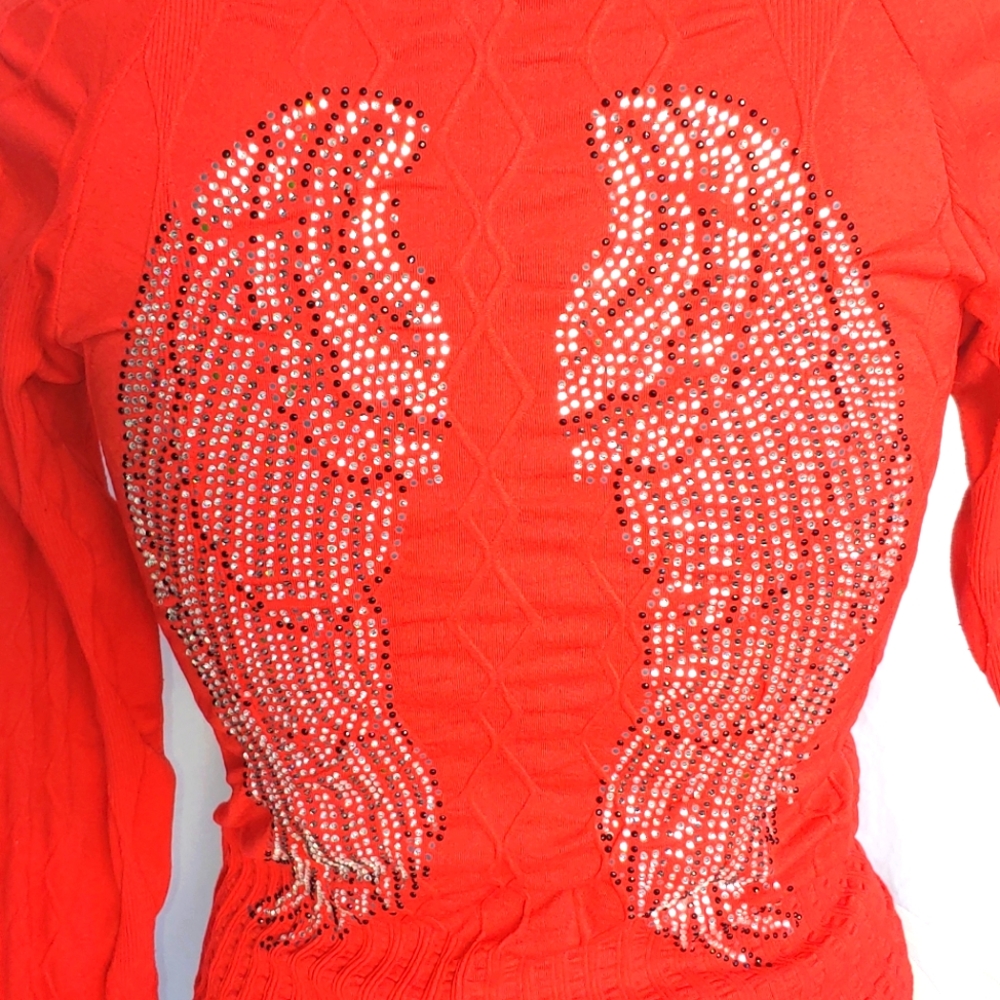 Angel Wings Red Hoodie One Size